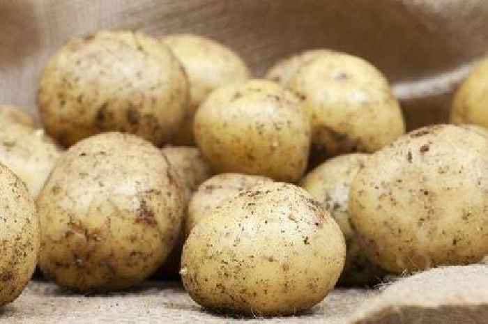 Potatoes stay edible for 6 months without sprouting if they're stored in unusual location