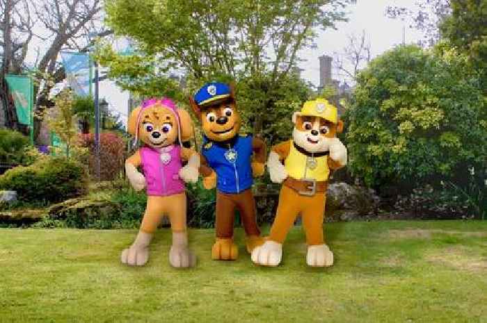 UK's first PAW Patrol theme park land to open with 'my first rollercoaster' experience