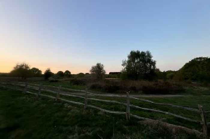 Twenty firefighters tackle Sutton Park blaze
