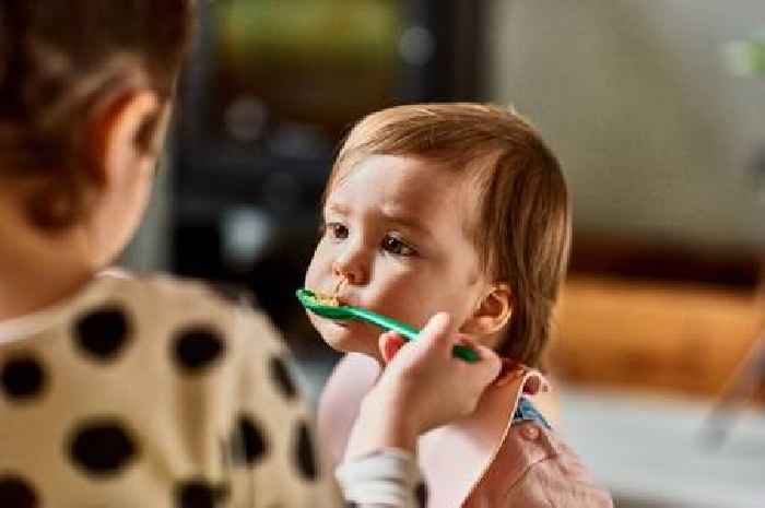 Dietitian shares signs of allergies in kids and dispells common misconception