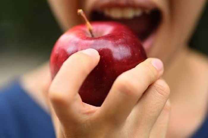 Harvard scientists say dodge 'chronic ailments' and 'age well' by sticking to one diet