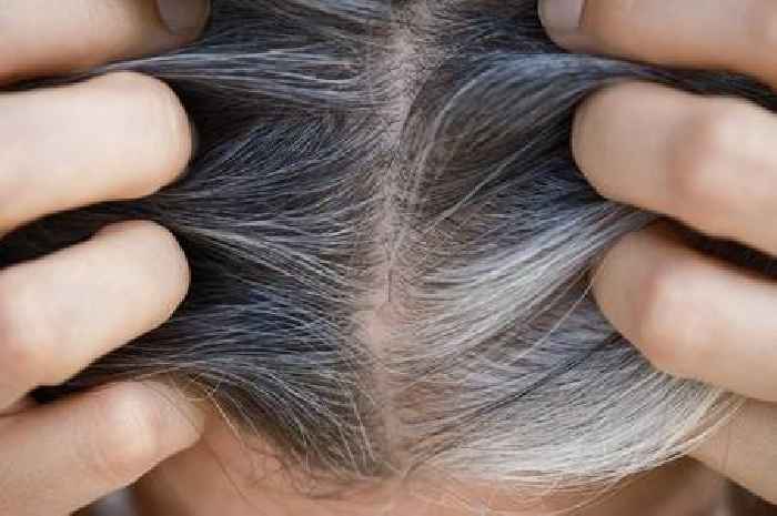 BBC Doctor Xand reveals reason you have grey hair - and it's not old age