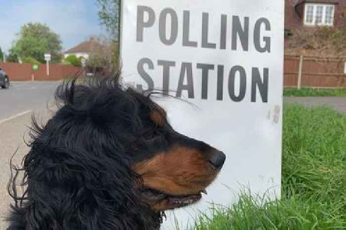 Nork and Tattenhams by-election results as second place Reform poll more than Tories, Labour and Lib Dems combined