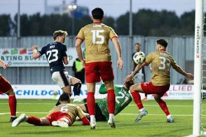 Falkirk 3 Hamilton 1: Accies give Bairns a fright before McGlynn's men roar back to seal title and Premiership promotion