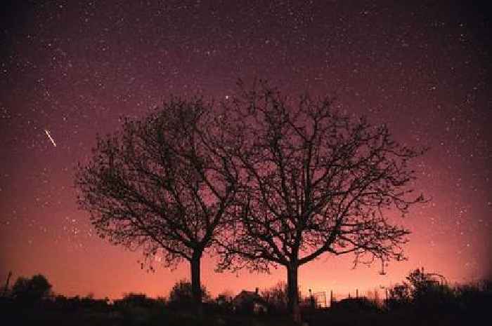 How to see meteor shower that only happens once a year in Scotland this May