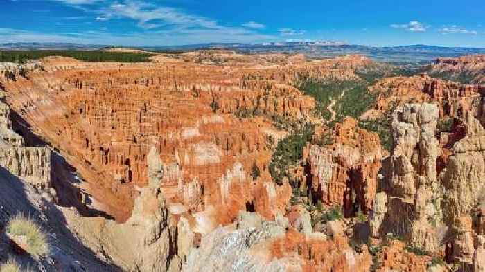 News24 | Cat, 'matted and a bit sore', the only survivor in 115m canyon fall
