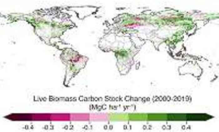 European satellite launches to track global forest biomass from space
