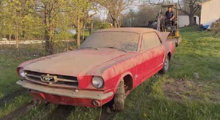 1964 1/2 Mustang, Stuck in a Barn Where It Spend 45 Years, Needs a Tractor To Come Out