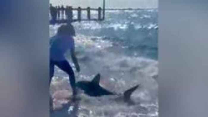 'I heard someone say shark and thought it's a hoax'