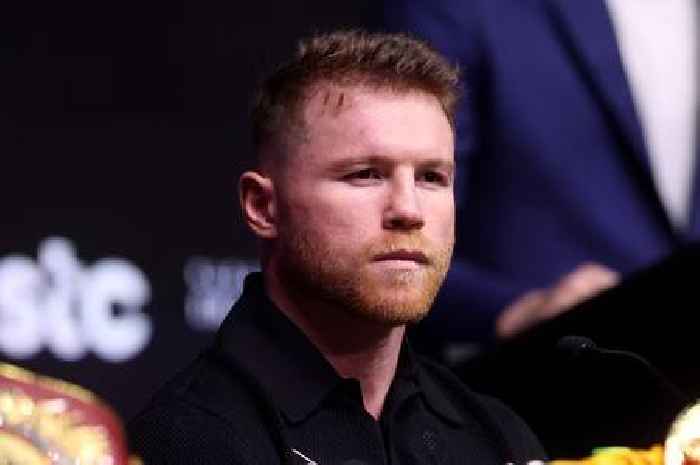 Chris Eubank Jr does nothing for Canelo Alvarez – there's one fight he should want