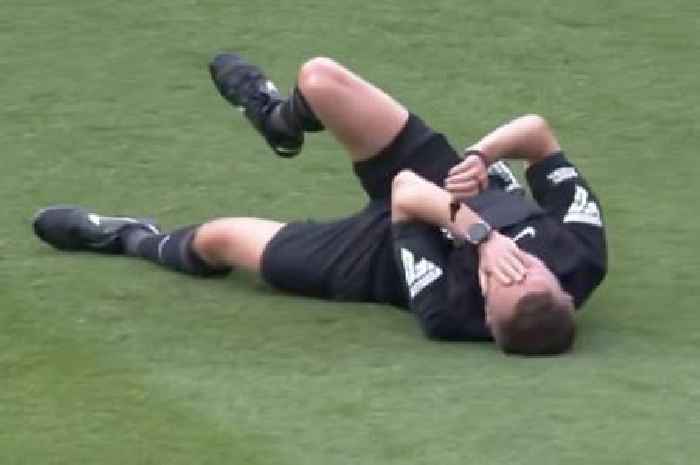 Leicester vs Southampton halted as referee injured with Jamie Vardy to rescue