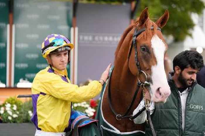 'I fancy 8-1 shot to upset the favourites in the 2,000 Guineas at Newmarket'