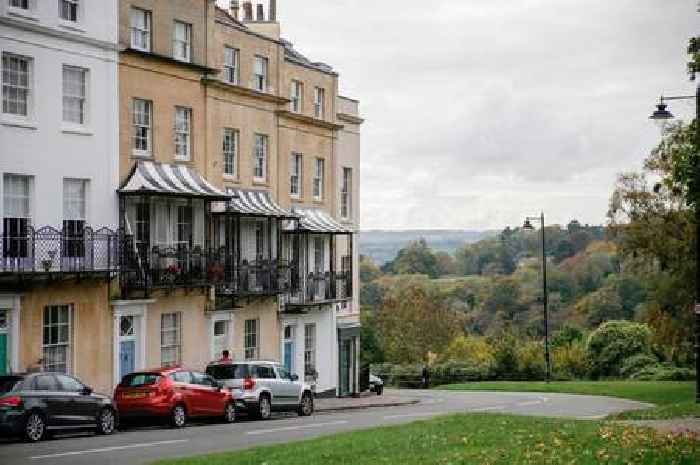 Secret gardens in Clifton and Hotwells to open for rare public viewings
