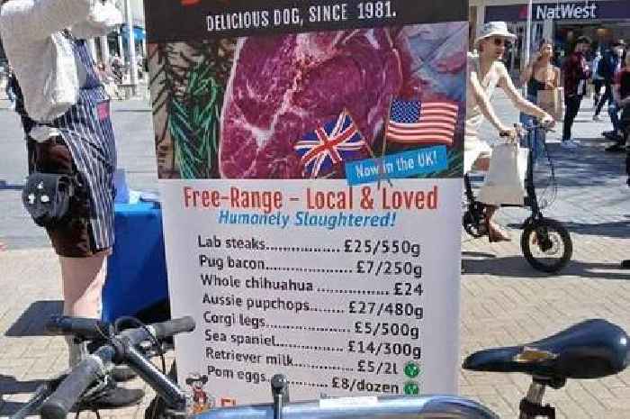Shocking 'dog meat' stall stops Bristol shopper in their tracks