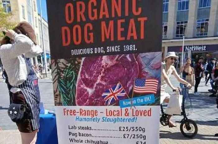 Outrage over South West 'dog meat' food stall as shopper asks 'how is this allowed'