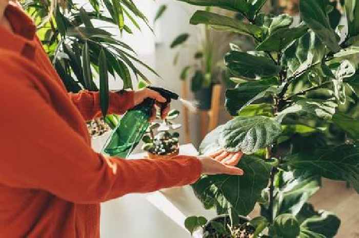 Gardening expert's warning to plant owners as temperatures rise in May