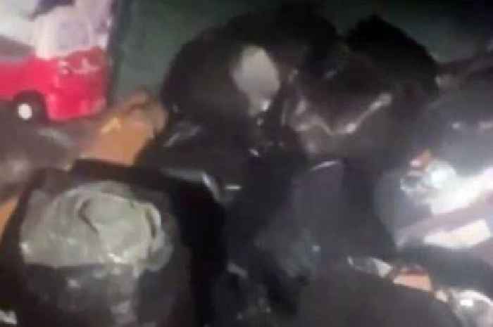 Rats crawl all over dumped rubbish as bin trucks struggle to leave depot