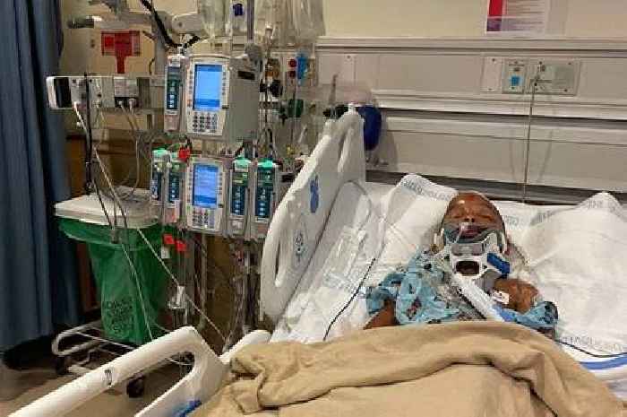 UK tourist gets jail term after causing crash while in the US