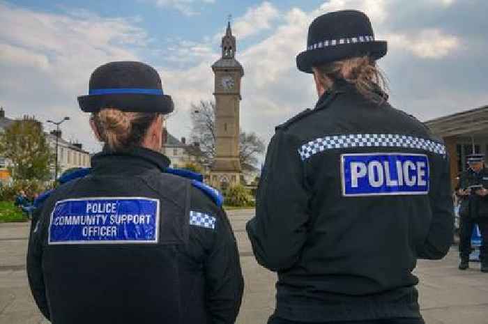 Devon court: Exeter shoplifting epidemic and XL Bully destruction fight