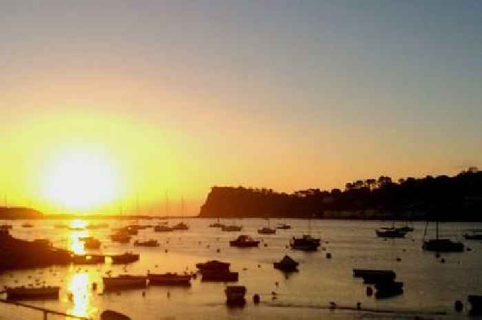 Packed Devon beach chaos as lad attacked with weapons