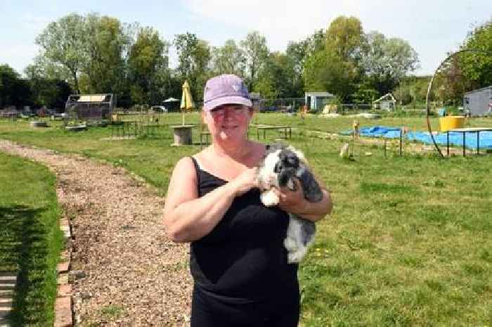 The therapy and petting farm that's bringing a community together