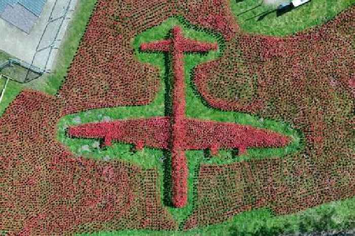 Display of 20,000 poppies arranged in the shape of Lancaster Bomber in Lincoln