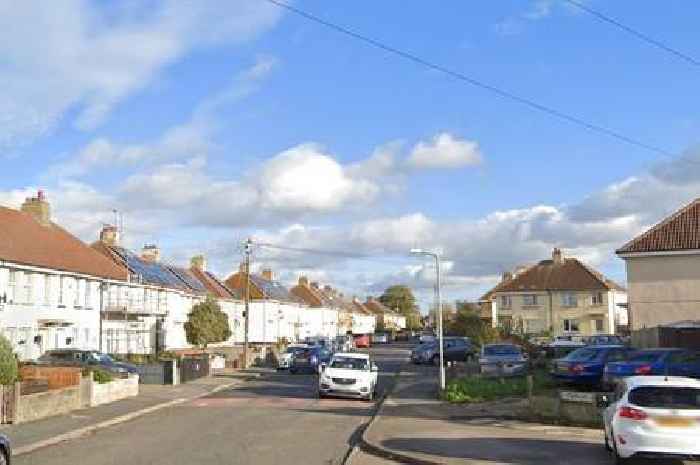 Two cats found dead in Gravesend with 'horrendous injuries'