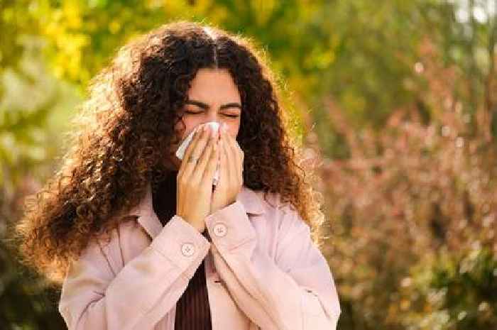 NHS GP shares cheap methods to stop hay fever 'ruining summer'