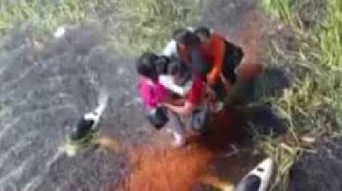 Five people survive 36 hours in swamp 'surrounded by alligators' after plane crash
