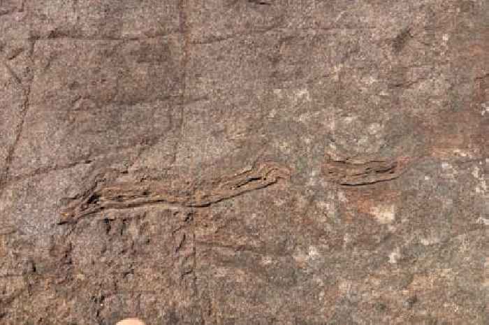 Meteorite that struck Scotland 990 million years ago may have brought life to land