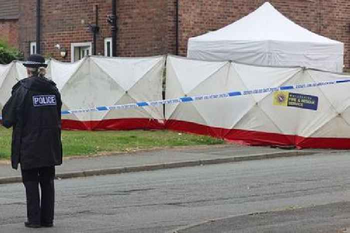 Woman arrested on suspicion of murder after man stabbed to death in flat