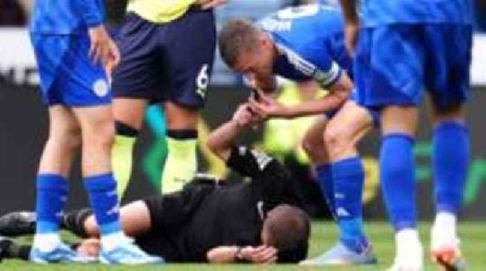'I saw Southampton breaking and the ref down, so I blew his whistle'