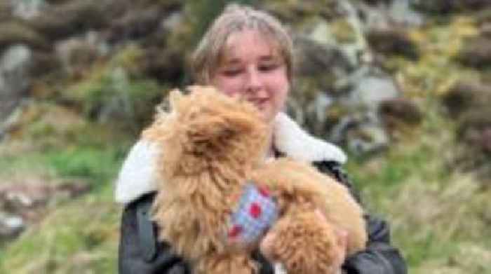 'We bought woodland where we walk our dogs for £900k'