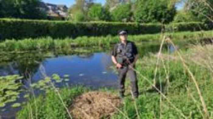 Appeal launched as swans killed in 'cruel attack'