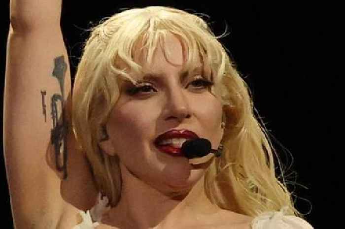 Lady Gaga bomb: Man and teen arrested over 'plan to attack singer's Brazil gig'