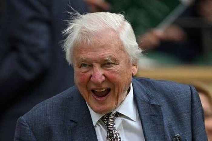 David Attenborough hardly eats one food in effort to reach 100