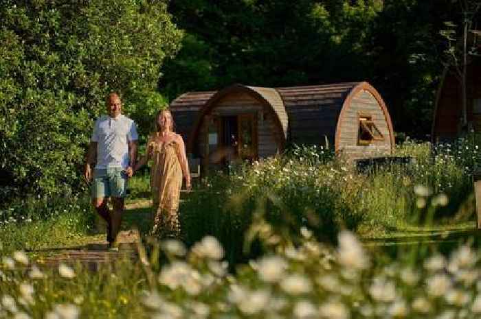 Glamping glow-up for Forest of Dean site offers 'luxurious alternative to traditional camping'