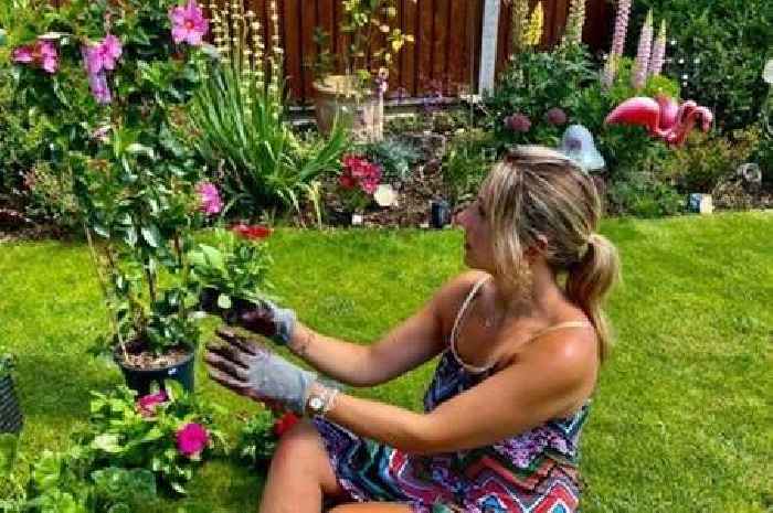 Gardener shares five ways she saves £300-a-year on plants