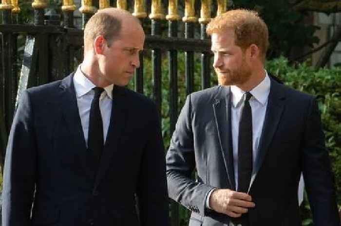 Prince William has 'no incentive' to speak to Harry after BBC outburst