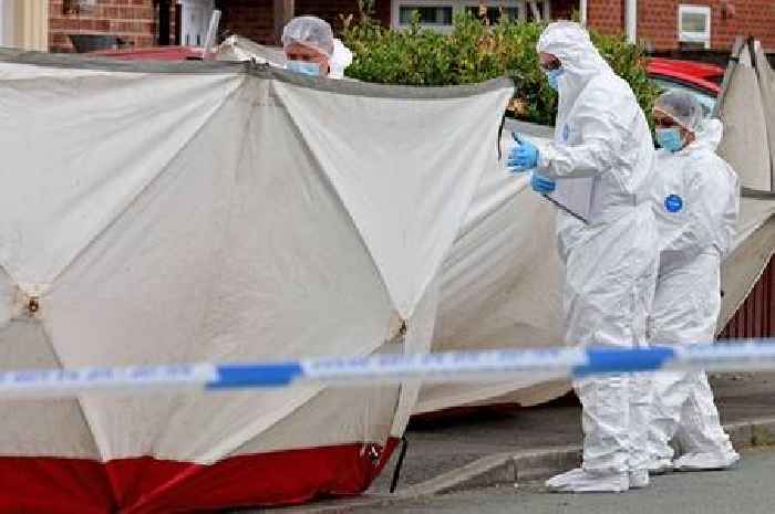 Woman charged with murder after man stabbed to death in Merseyside flat