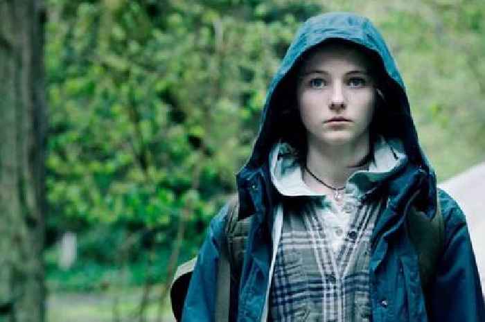 Netflix now streaming the 'best' movie according to Rotten Tomatoes with a 100% rating