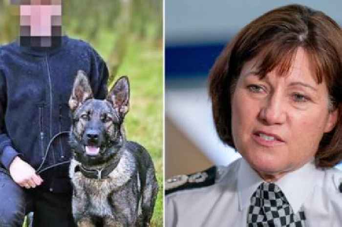 Vet report reveals hero dog had 'great prognosis' before death as police chief urged to 'come clean'