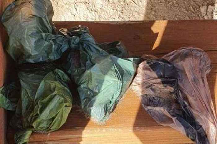 One of Wales' most beautiful seaside villages is being plagued by poo bags left by visitors