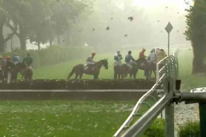 Horse racing abandoned as jockeys head for cover amid total chaos