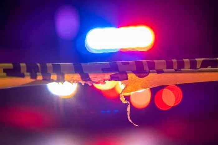 News24 | 15 people killed in head-on collision between bakkie and taxi in Eastern Cape