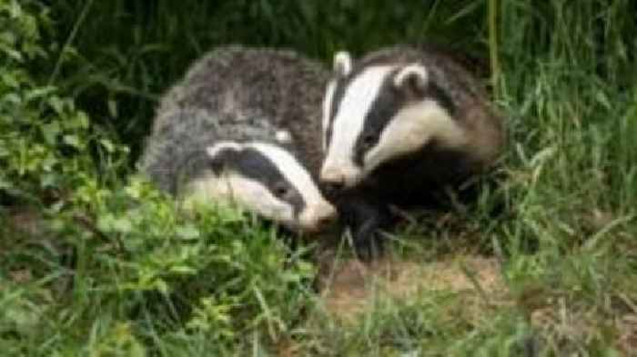 Wildlife Trust reveals plan to revive biodiversity