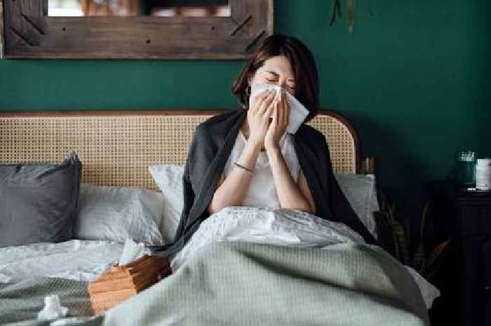 GP says those who think they have hay fever could be suffering from other condition