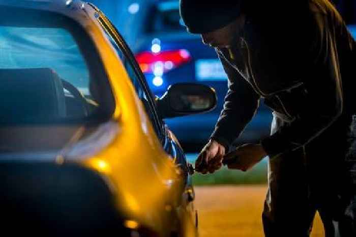 Car thief bit off-duty police officer and threatened him with syringe