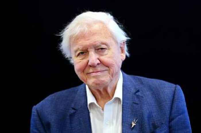 Sir David Attenborough set for landmark new BBC series as he turns 99