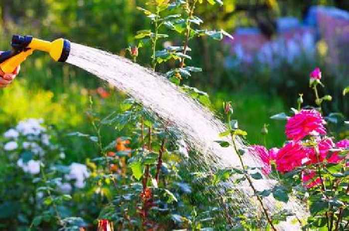 Major water company issues urgent warning to five million UK households over watering garden